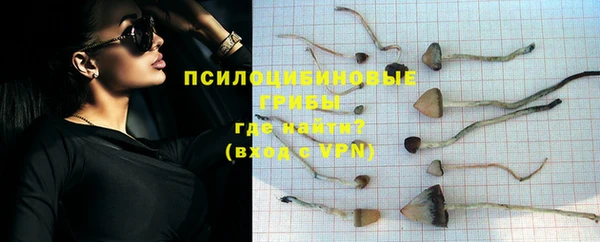 гидра Бугульма