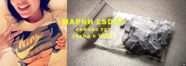 прущие грибы Богородицк