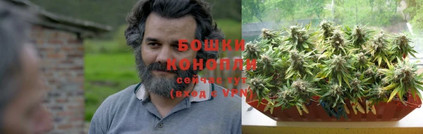гидра Бугульма