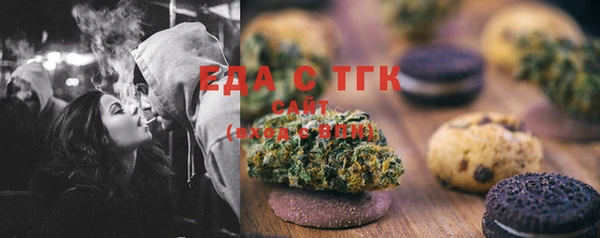 тгк Бородино