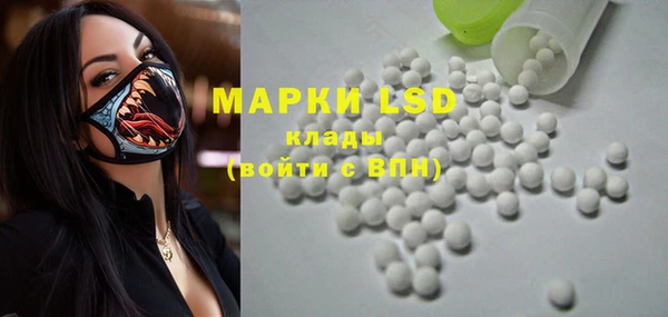 ECSTASY Богданович