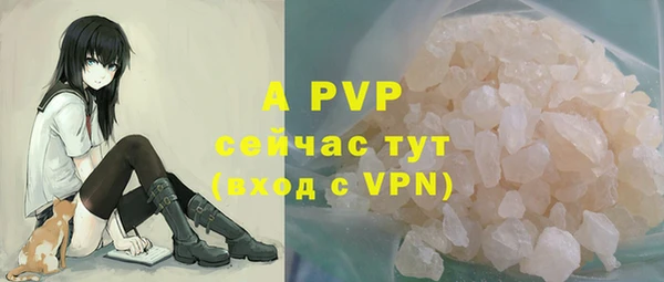 PSILOCYBIN Сосновый Бор