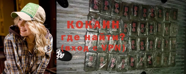тгк Бородино