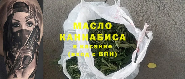 тгк Бородино