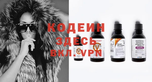 ECSTASY Богданович