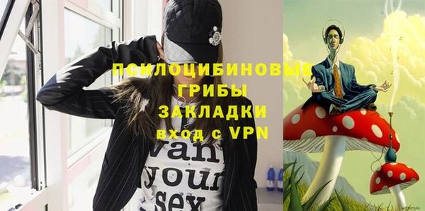 PSILOCYBIN Сосновый Бор