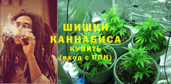 хмурый Богородск