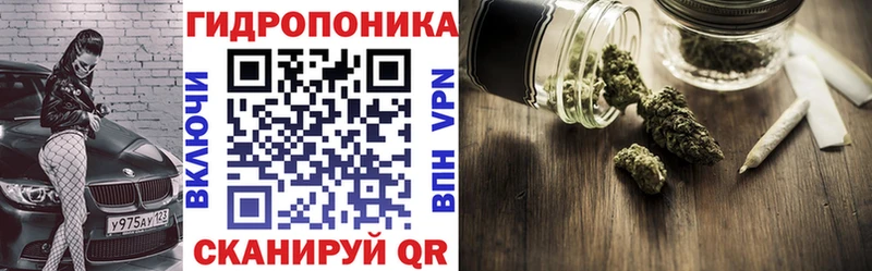 купить закладку  Старица  это Telegram  Канабис Amnesia 
